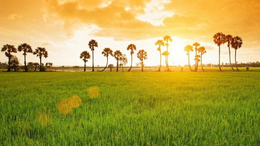 Tour khám phá Tứ tỉnh miền Tây 3 ngày 2 đêm