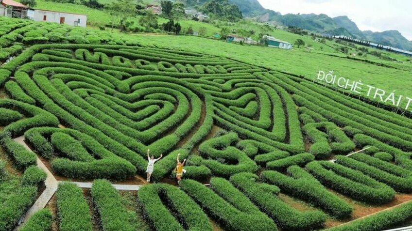 Tour Mai Châu Mộc Châu Cầu Kính Bạch Long 2 Ngày 1 Đêm | Khám Phá Tây Bắc Cùng Vietpower