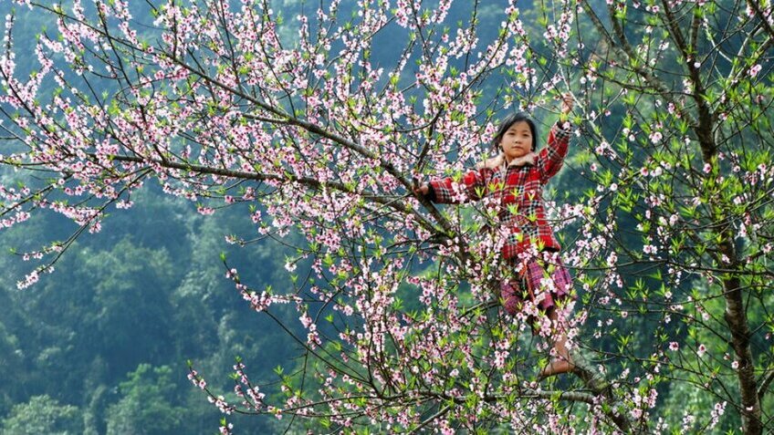 Tour Mai Châu Mộc Châu Cầu Kính Bạch Long 2 Ngày 1 Đêm | Khám Phá Tây Bắc Cùng Vietpower