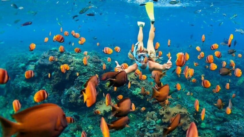 Tour Maldives từ Hà Nội: SUN SIYAM OLHUIVELI 4,5 * (Bay Singapore Airlines)