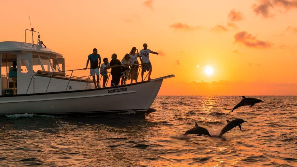 Tour Sunset Dolphin Cruise hấp dẫn