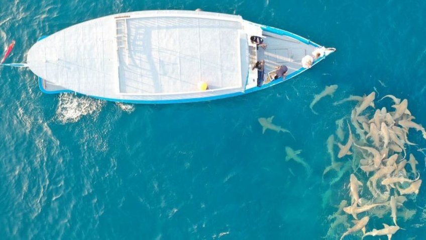Tour Maldives 5 Ngày 4 Đêm Từ TP.HCM | Maafushi – Adaaran Club Rannalhi – Male