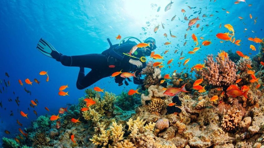 Tour Maldives 5 Ngày 4 Đêm Từ TP.HCM | Maafushi – Adaaran Club Rannalhi – Male