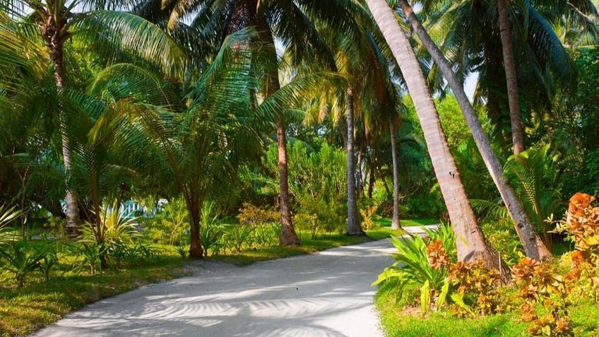 Tour Maldives 5 Ngày 4 Đêm Từ TP.HCM | Maafushi – Adaaran Club Rannalhi – Male