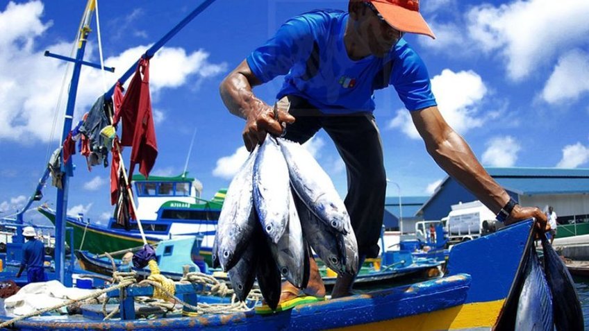 Tour Maldives 5 Ngày 4 Đêm Từ TP.HCM | Maafushi – Adaaran Club Rannalhi – Male