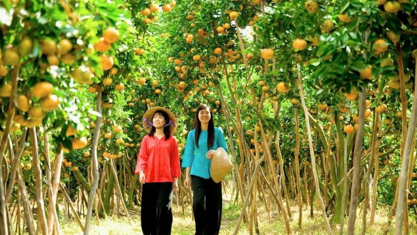Tour Miền Tây 2N1Đ: Cần Thơ - Bạc Liêu - Sóc Trăng - Đất mũi Cà Mau