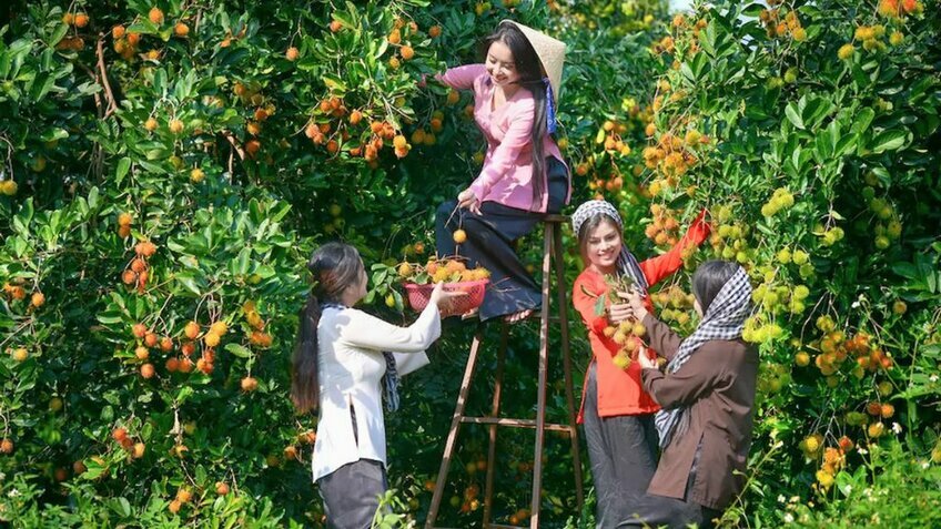 Tour Miền Tây 2N1Đ: Cần Thơ - Bạc Liêu - Sóc Trăng - Đất mũi Cà Mau