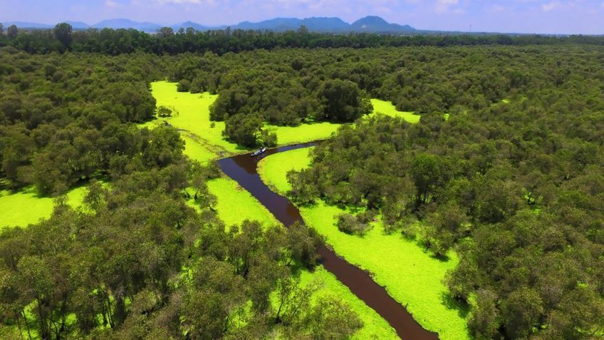 Tour Miền Tây Sông Nước 4 Ngày 3 Đêm | Mỹ Tho - Châu Đốc - Cần Thơ - Cà Mau | Vietpower Travel