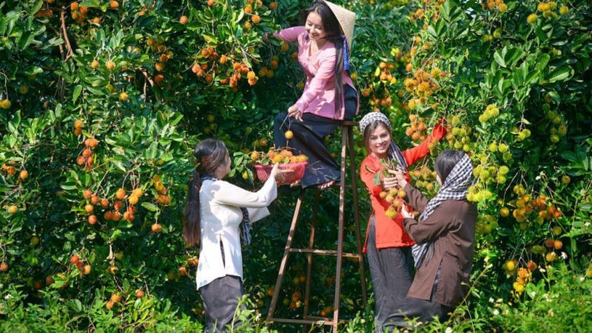 Tour Miền Tây Sông Nước 4 Ngày 3 Đêm | Mỹ Tho - Châu Đốc - Cần Thơ - Cà Mau | Vietpower Travel