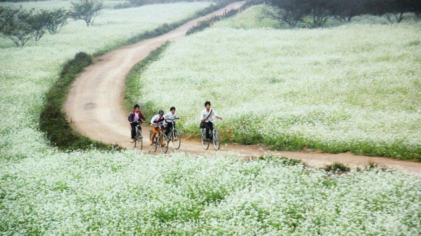 Tour Mộc Châu: Check in Thác Dải Yếm - Happy Land - Mocha Hill 4N3Đ