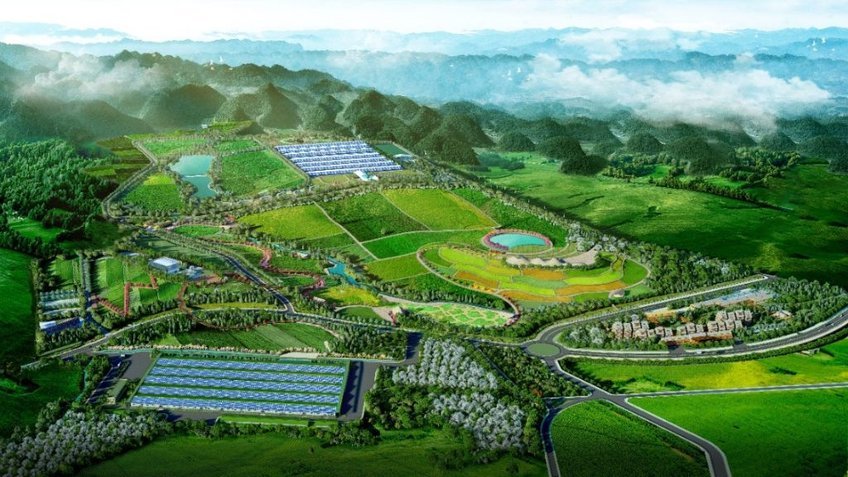 Tour Mộc Châu 2N1Đ: Khám Phá Cao Nguyên Xanh