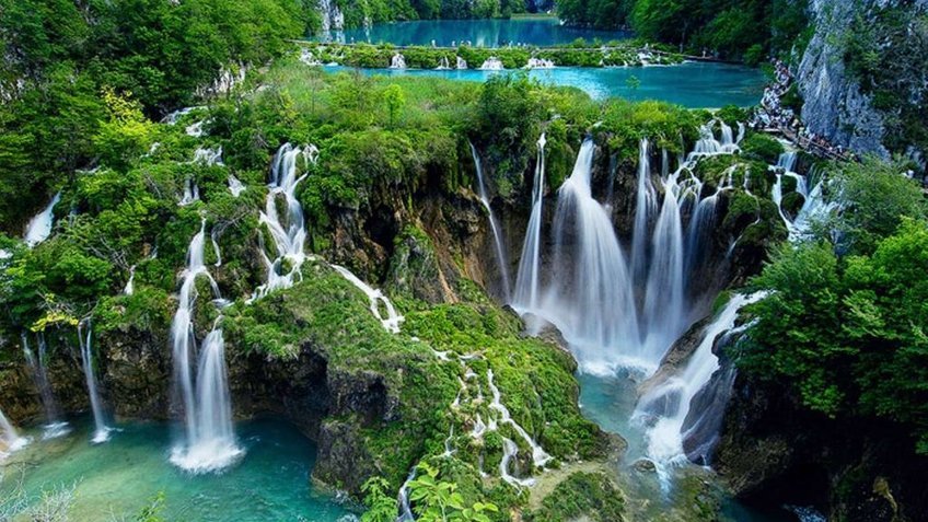 Tour Mộc Châu 2N1Đ: Khám Phá Cao Nguyên Xanh
