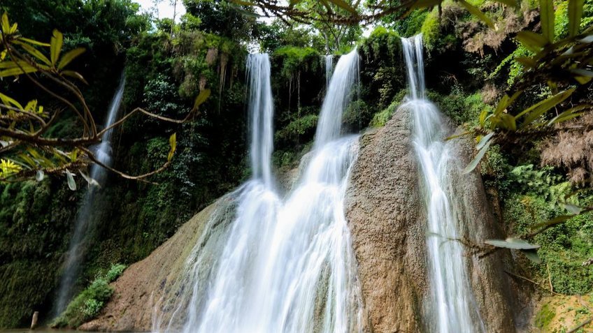 Tour Mộc Châu 2N1Đ: Khám Phá Cao Nguyên Xanh