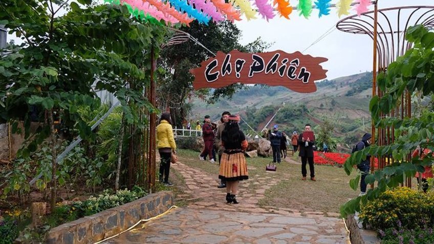 Tour Mộc Châu 2N1Đ: Khám Phá Cao Nguyên Xanh