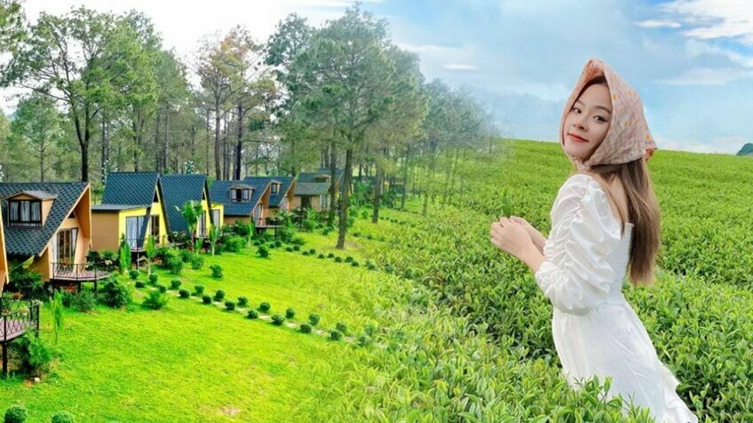 Tour Mộc Châu 2N1Đ: Khám Phá Cao Nguyên Xanh