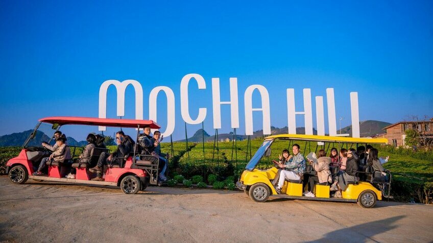 Tour Mộc Châu 2N1Đ: Khám Phá Cao Nguyên Xanh