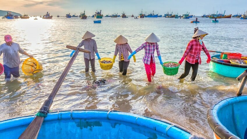 Tour Mũi Né 3N2Đ: Hầm Rượu - Tháp Poshanu - Bàu Sen Bàu Trắng từ HCM