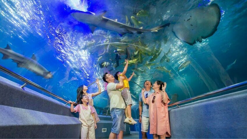 Tour Nha Trang 2N1Đ: Vịnh Nha Trang - City Tour - Trải nghiệm tắm bùn (Đón sân bay)