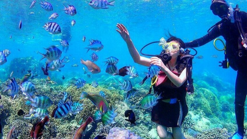 Tour Nha Trang 2N1Đ: Vịnh Nha Trang - City Tour - Trải nghiệm tắm bùn (Đón sân bay)