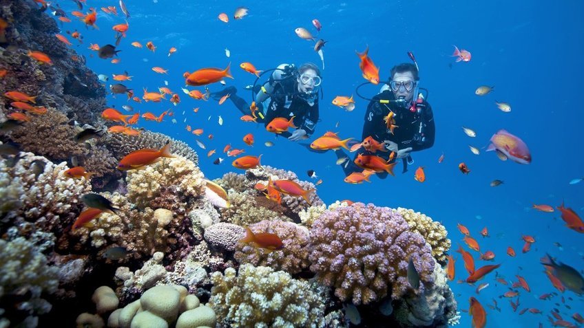 Tour Nha Trang 4N3Đ: Đảo Khỉ – Vinpearl Harbour – Cáp Treo Vượt Biển