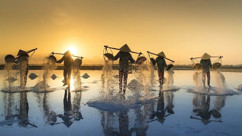 Tour Ninh Thuận 3 ngày 2 đêm: KDL Tanyoli - Vĩnh Hy - Hang Rái - Vườn nho - Đồng cừu