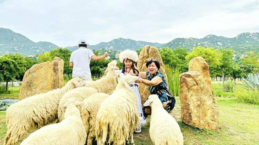 Tour Ninh Thuận 3N3Đ: Ninh Chữ - Vịnh Vĩnh Hy