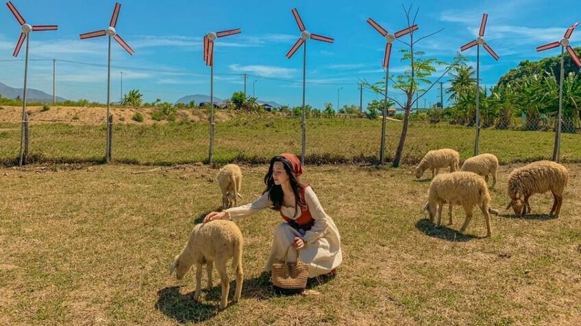 Tour Ninh Thuận 3 ngày 2 đêm: KDL Tanyoli - Vĩnh Hy - Hang Rái - Vườn nho - Đồng cừu