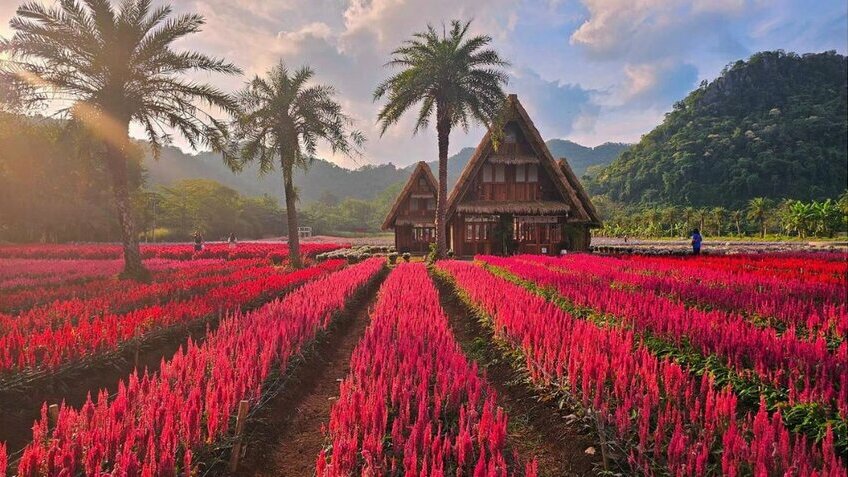 [Tour No Shopping] Hành Trình Mới: Bangkok - Pattaya - Nakhon - Khaoyai - Muang Boran 8N7Đ