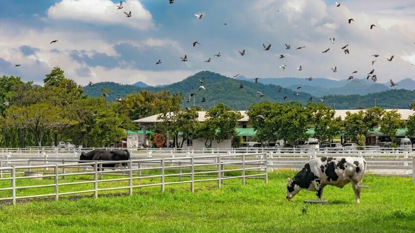 [Tour No Shopping] Hành Trình Mới: Bangkok - Pattaya - Nakhon - Khaoyai - Muang Boran 8N7Đ