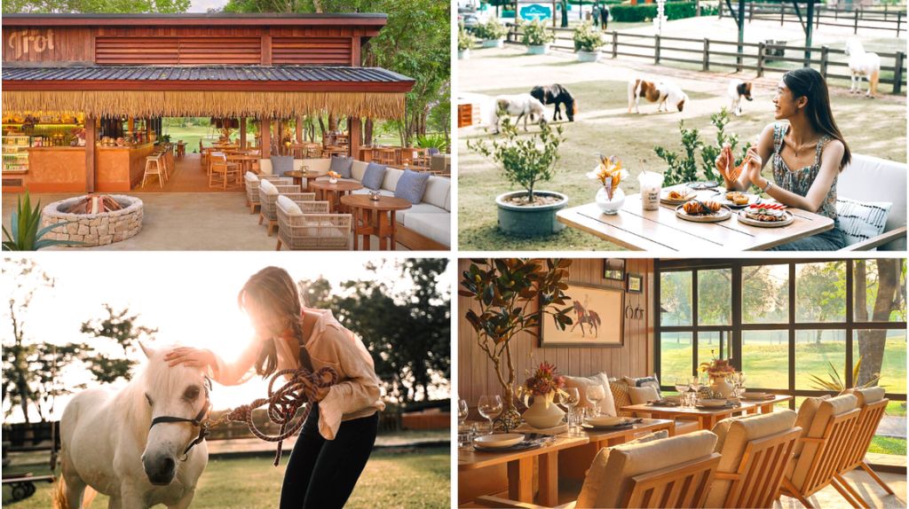 Quý khách chụp ảnh và check in tại Trot Café