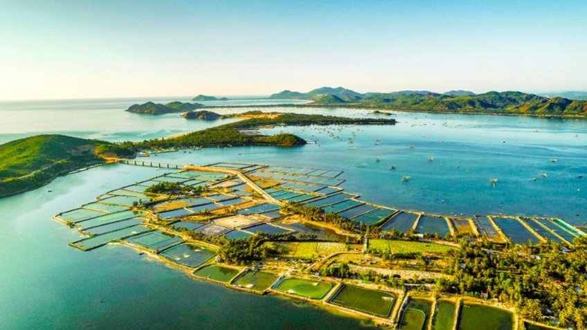 Tour Phú yên 3N2Đ: khám phá vẻ đẹp Xứ Nẫu