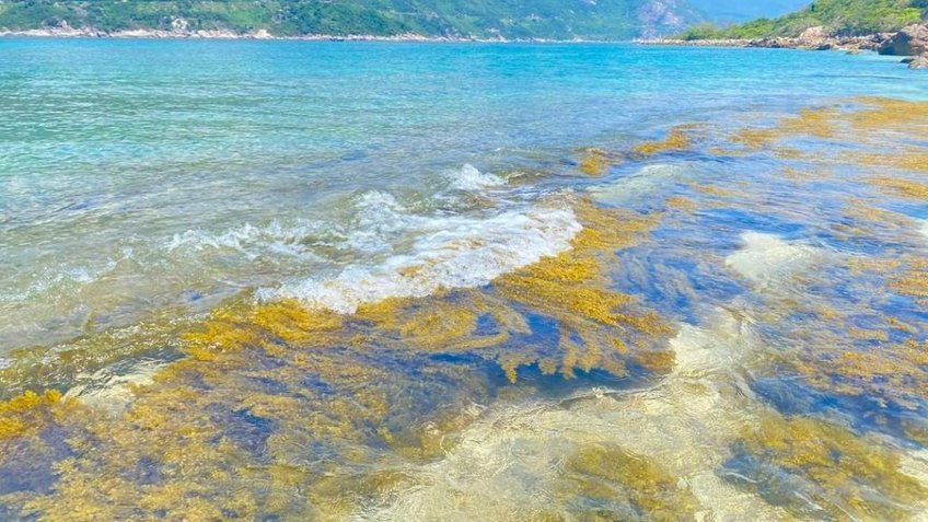 Tour Phú yên 3N2Đ: khám phá vẻ đẹp Xứ Nẫu