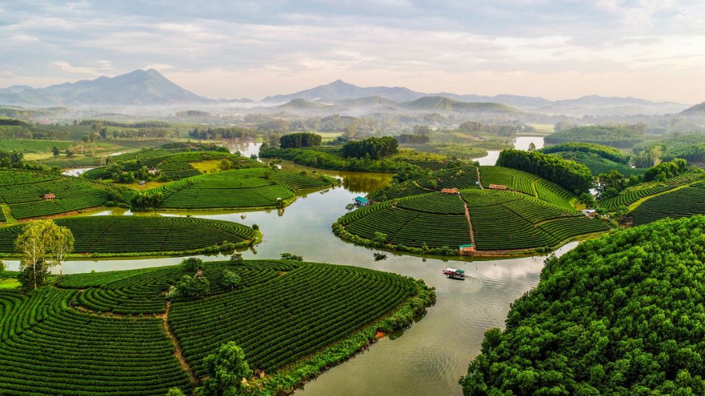 Ngắm nhìn các ốc đảo chè Thanh Chương xanh tươi