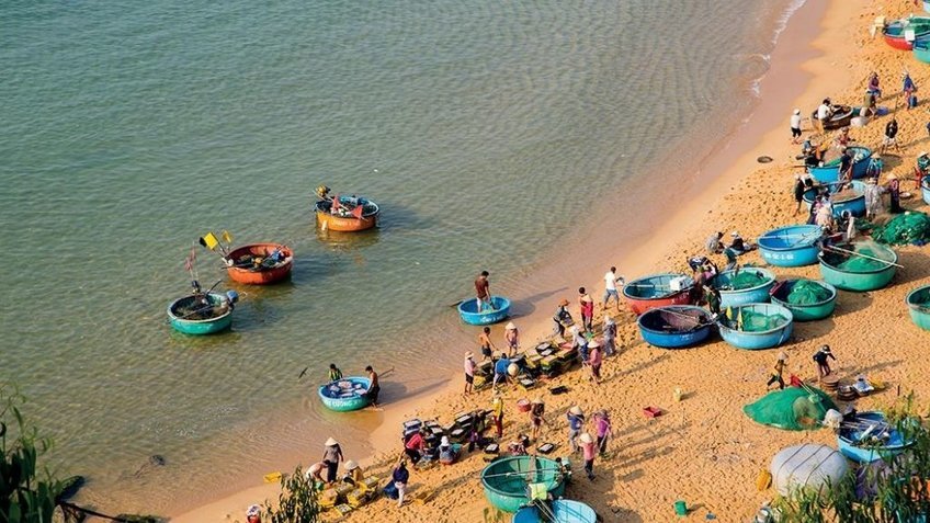 Tour Quy Nhơn Phú Yên 3 Ngày 2 Đêm | Kỳ Co – Eo Gió – Gành Đá Đĩa | Vietpower Travel
