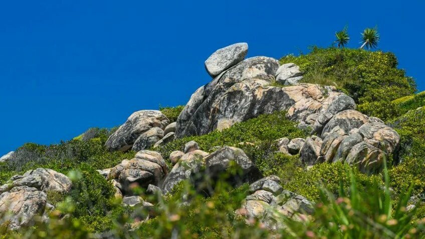 Tour Quy Nhơn trong ngày: Khám phá kỳ quan độc đáo nhất Việt Nam