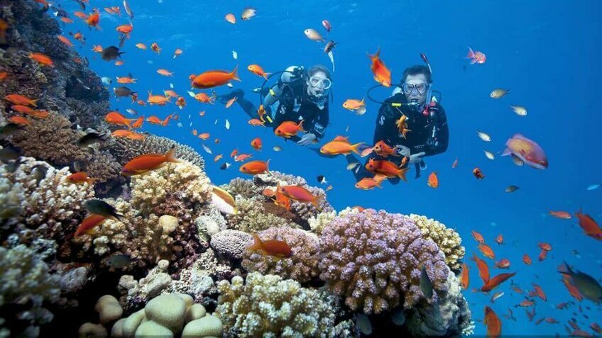 Tour Quy Nhơn trong ngày: Khám phá kỳ quan độc đáo nhất Việt Nam