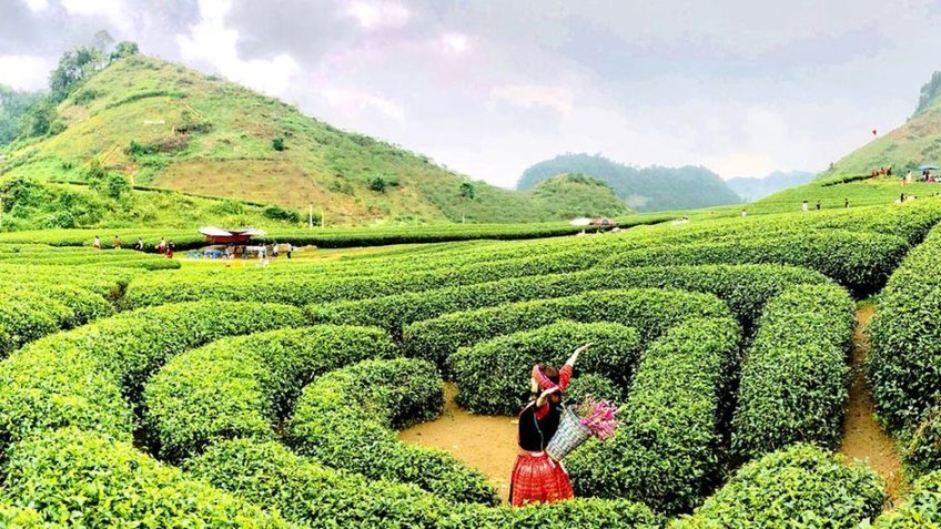 Tour Tà Xùa 4N3Đ: Săn mây chốn bồng lai (Từ Hồ Chí Minh)