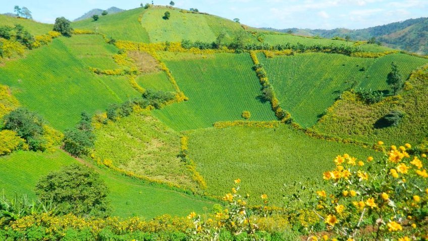 Tour Tây Nguyên 4N3Đ: Khám phá xứ sở cà phê Buôn Ma Thuột - Gia Lai - Kon Tum - Măng Đen