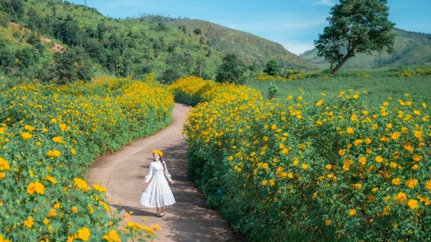 Tour Tây Nguyên 4N3Đ: Khám phá xứ sở cà phê Buôn Ma Thuột - Gia Lai - Kon Tum - Măng Đen