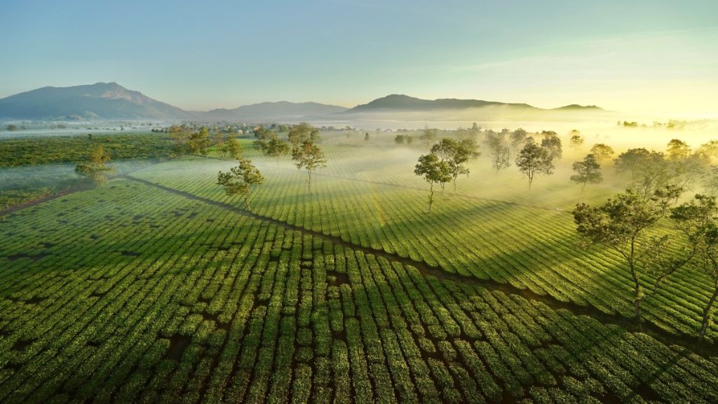 Khung cảnh thiên nhiên tuyệt đẹp tại Biển Hồ chè