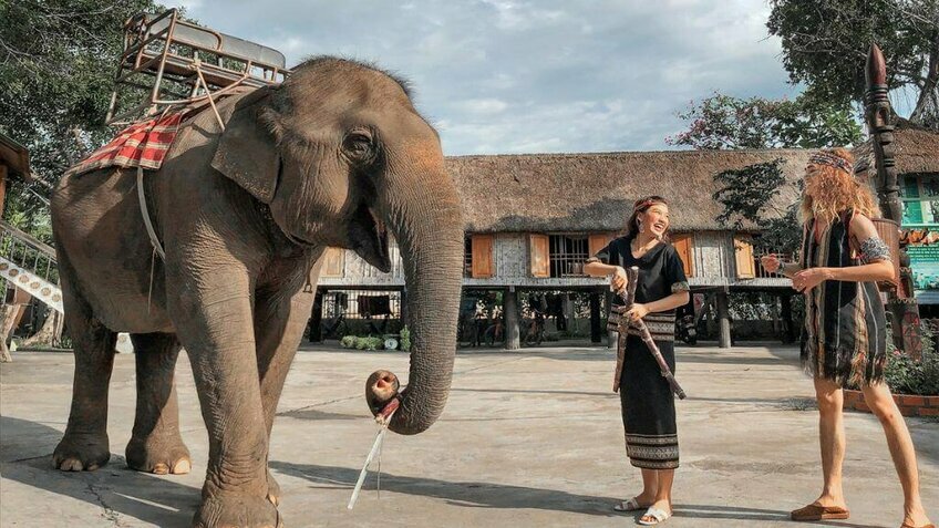 Tour Tây Nguyên 2N1Đ: Khám phá thủ phủ cà phê