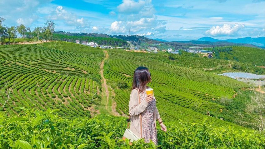 Tour Tây Nguyên Đà Lạt Buôn Ma Thuột 4 Ngày 3 Đêm | Khởi hành Hà Nội | Vietpower Travel