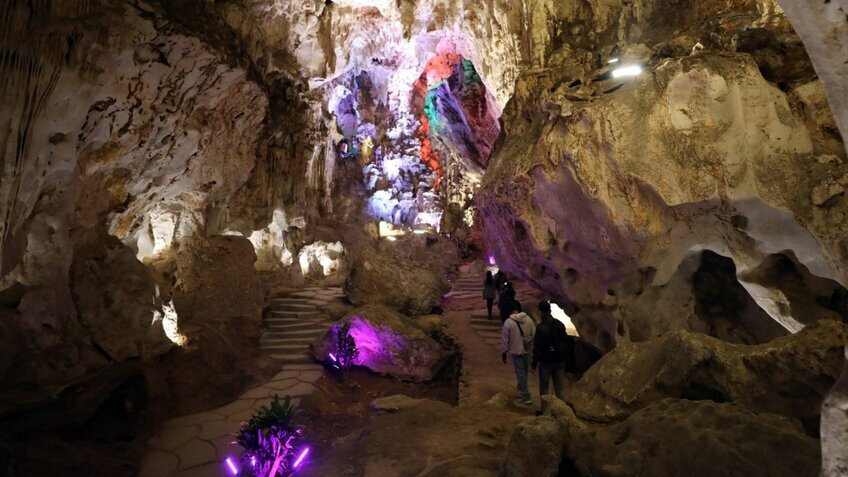Tour Tết 2026 Mộc Châu 3N3Đ: Đón xuân trên vùng cao nguyên