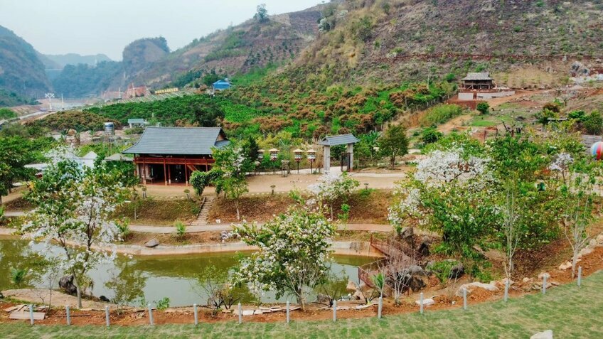Tour Tết 2026 Mộc Châu 3N3Đ: Đón xuân trên vùng cao nguyên