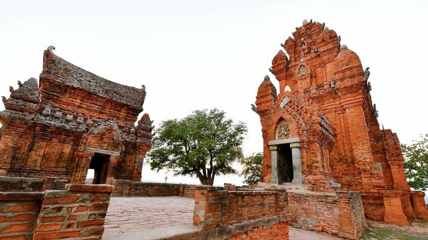 Tour Tết 3N2Đ: Ninh Thuận - Vĩnh Hy