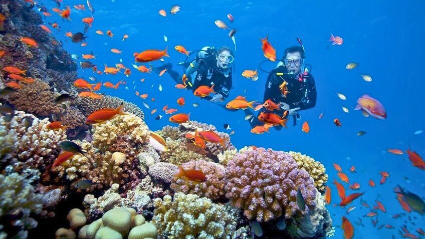 Tour Tết 3N2Đ: Ninh Thuận - Vĩnh Hy