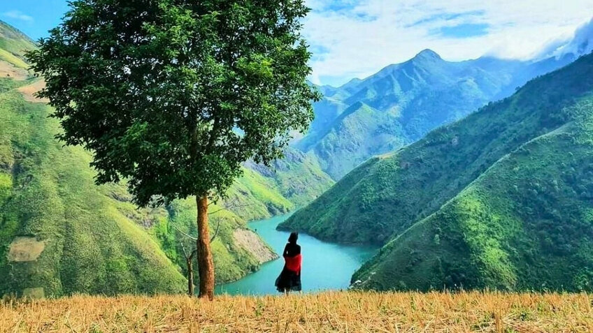 Tour Tết Tà Xùa 2026 Từ Hồ Chí Minh: Trải Nghiệm Săn Mây Trên Đỉnh Non Cao