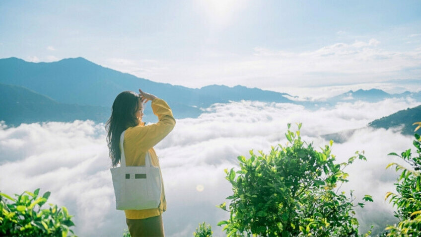 Tour Tết Tà Xùa 2026 Từ Hồ Chí Minh: Trải Nghiệm Săn Mây Trên Đỉnh Non Cao