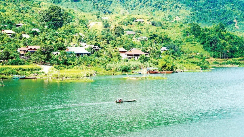 Tour Tết Tà Xùa 2026 Từ Hồ Chí Minh: Trải Nghiệm Săn Mây Trên Đỉnh Non Cao