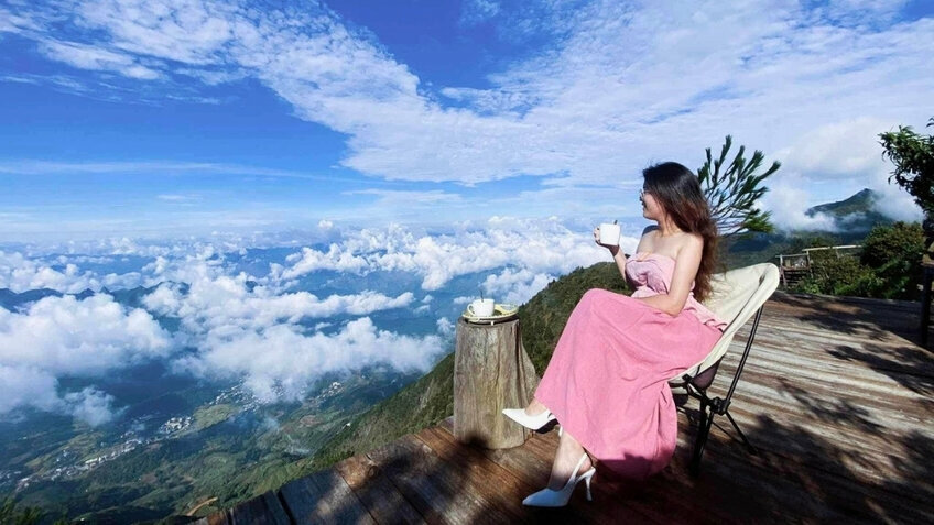 Tour Tết Tà Xùa 2026 Từ Hồ Chí Minh: Trải Nghiệm Săn Mây Trên Đỉnh Non Cao